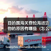 目的国海关查验海运货物的原因有哪些（怎么配合处理）（图2）