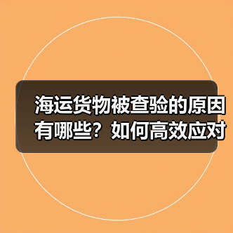 海运货物被查验的原因有哪些?如何高效应对?(图1) 海运货物被查验的原因有哪些?如何高效应对?(图1)
