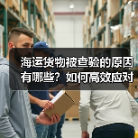 海运货物被查验的原因有哪些?如何高效应对?(图4) 海运货物被查验的原因有哪些?如何高效应对?(图4)