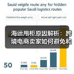 海运甩柜原因解析:跨境电商卖家如何避免和应对?(图3) 海运甩柜原因解析:跨境电商卖家如何避免和应对?(图3)