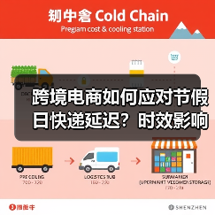 跨境电商如何应对节假日快递延迟?时效影响与规避策略(图4) 跨境电商如何应对节假日快递延迟?时效影响与规避策略(图4)