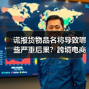 谎报货物品名将导致哪些严重后果?跨境电商必读(图2) 谎报货物品名将导致哪些严重后果?跨境电商必读(图2)