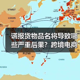 谎报货物品名将导致哪些严重后果?跨境电商必读(图3) 谎报货物品名将导致哪些严重后果?跨境电商必读(图3)