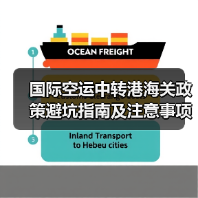 国际空运中转港海关政策避坑指南及注意事项(图3) 国际空运中转港海关政策避坑指南及注意事项(图3)