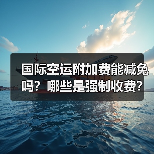 国际空运附加费能减免吗？哪些是强制收费？（图4）