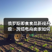 俄罗斯即食食品新规升级：跨境电商卖家如何应对？（图1）