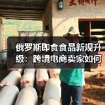 俄罗斯即食食品新规升级：跨境电商卖家如何应对？（图3）