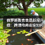 俄罗斯即食食品新规升级：跨境电商卖家如何应对？（图4）