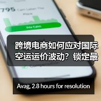 跨境电商如何应对国际空运运价波动?锁定最优策略指南 跨境电商如何应对国际空运运价波动?锁定最优策略指南